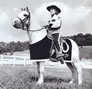 Carolyn Clark and Dixie - Baltimore Colts Mascot