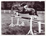 Show Jumping Practice